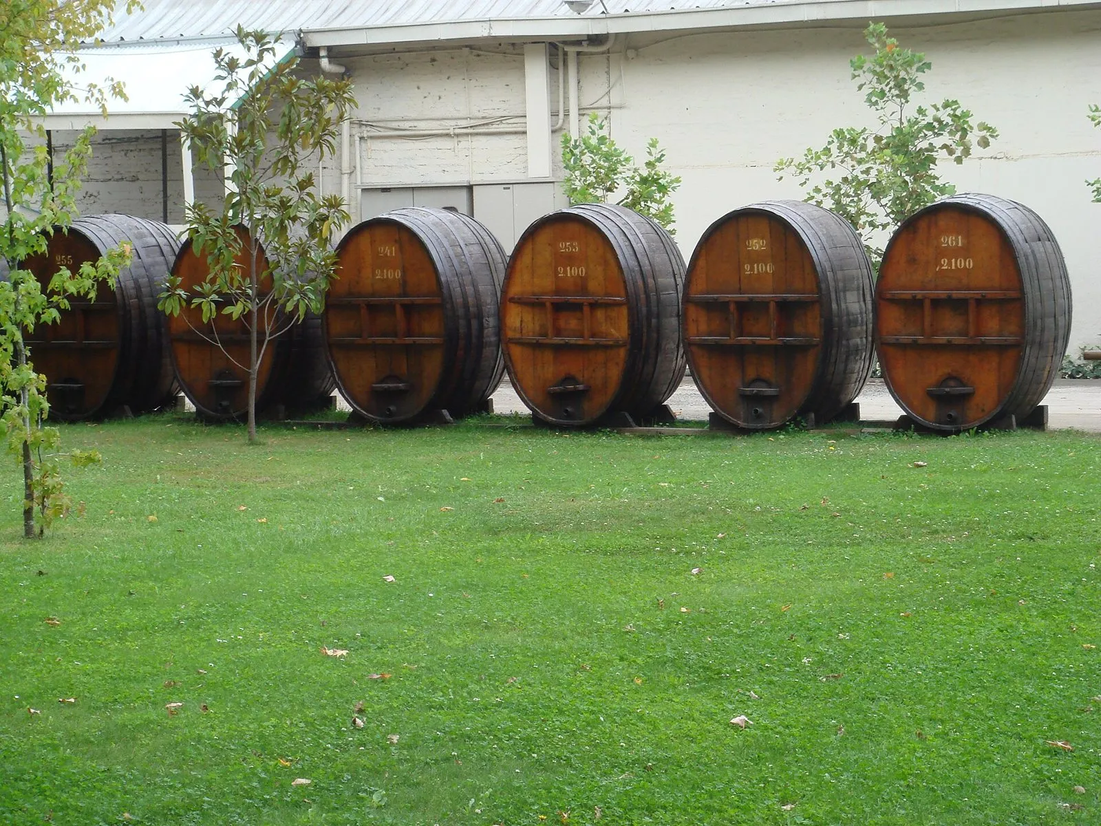 Concha y Toro – Marqués de Casa Concha